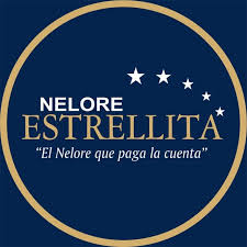 Estrellita Nelore Logo